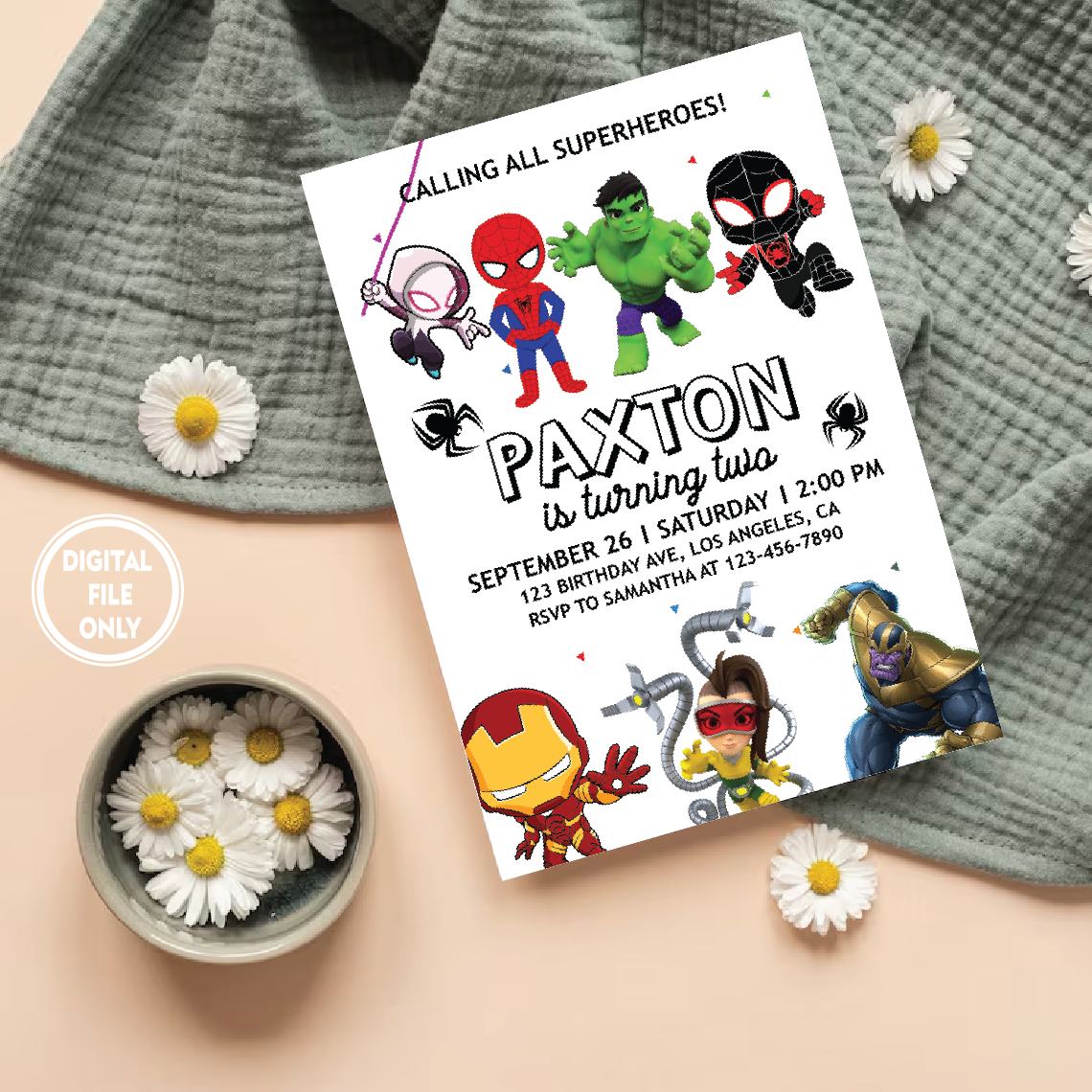 Personalized File Spidey and His Amazing Friends Birthday Invitation Boy Superhero Party Invite Instant Download Digital PNG File Only